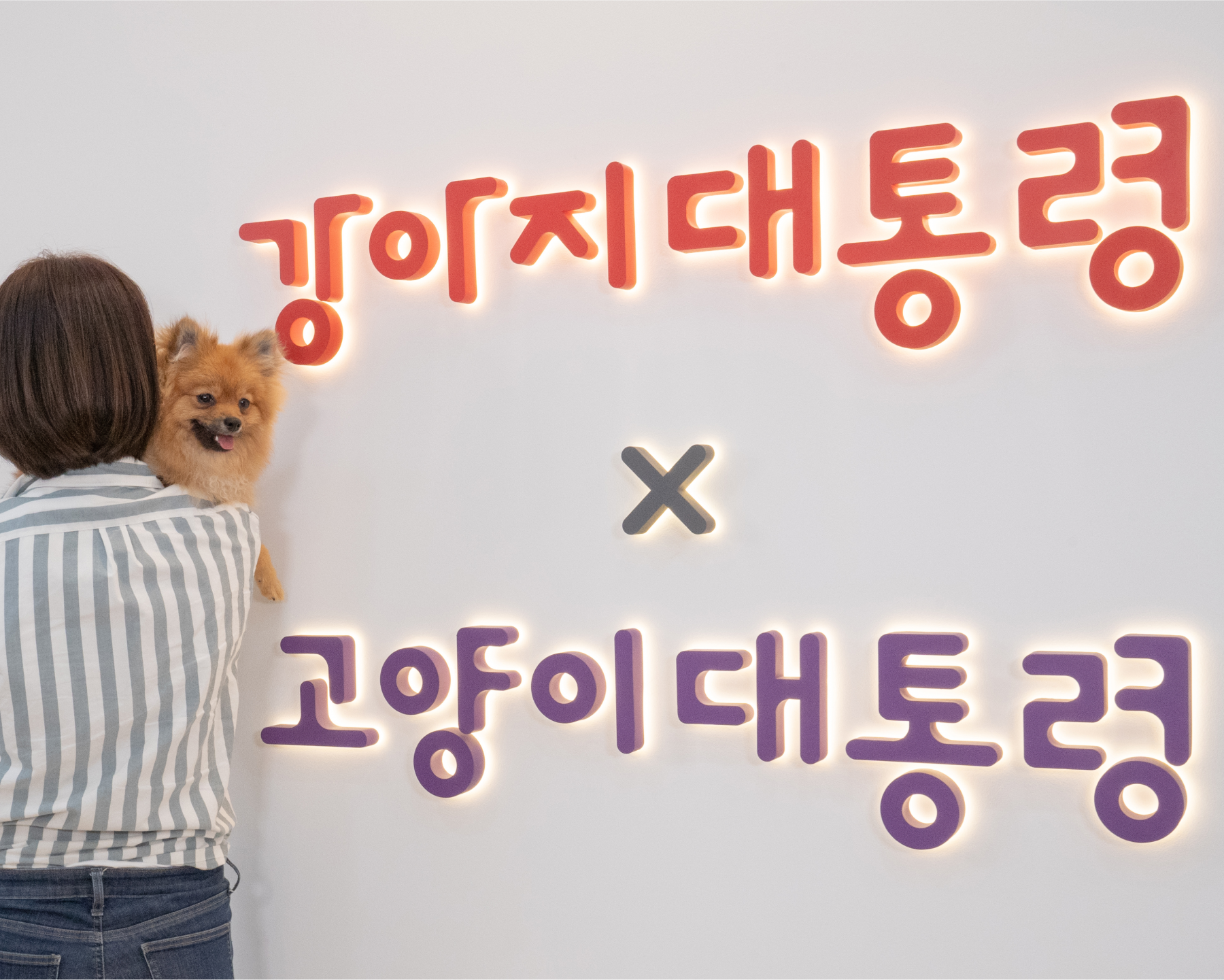 강아지대통령의 약속