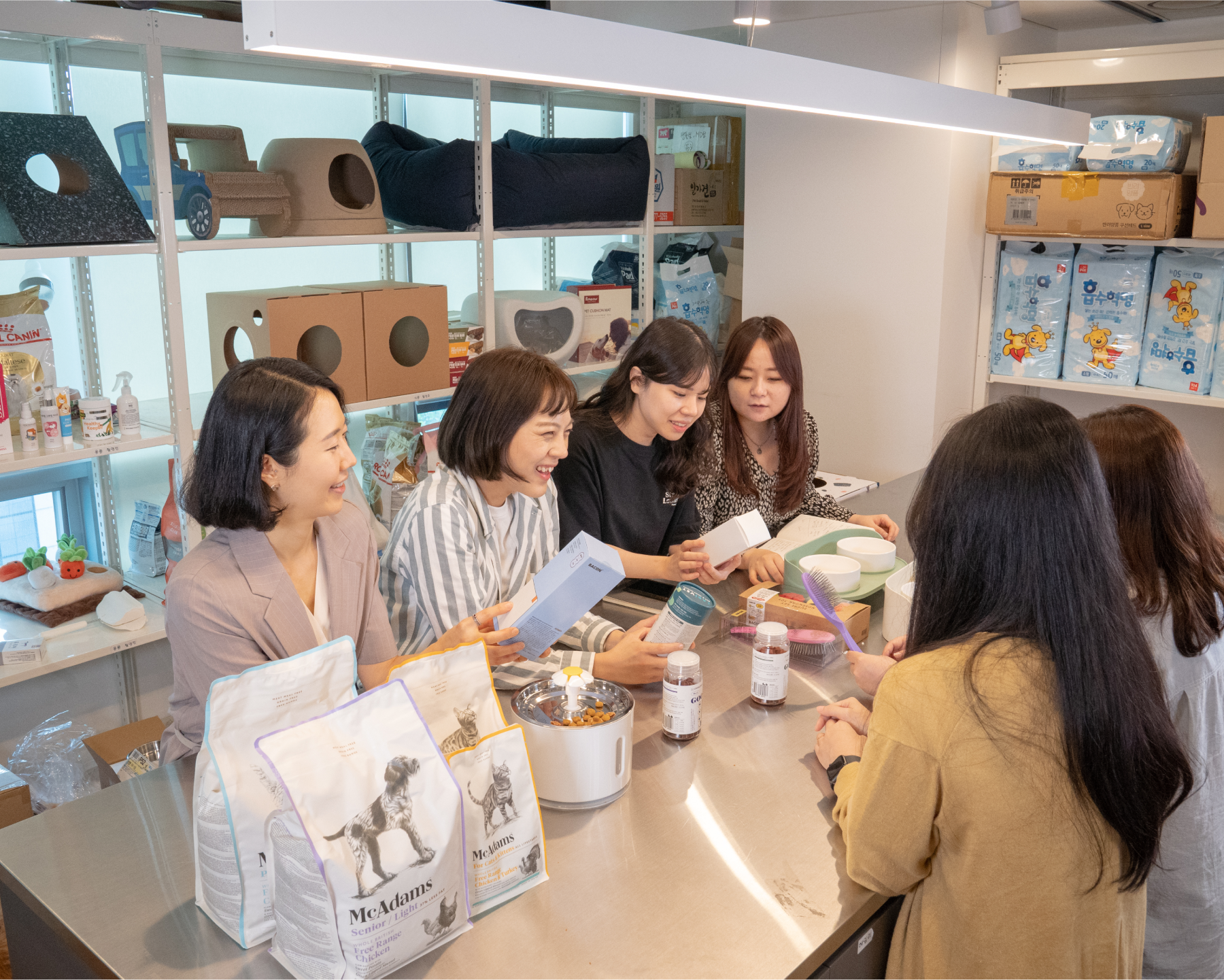 강아지대통령의 약속