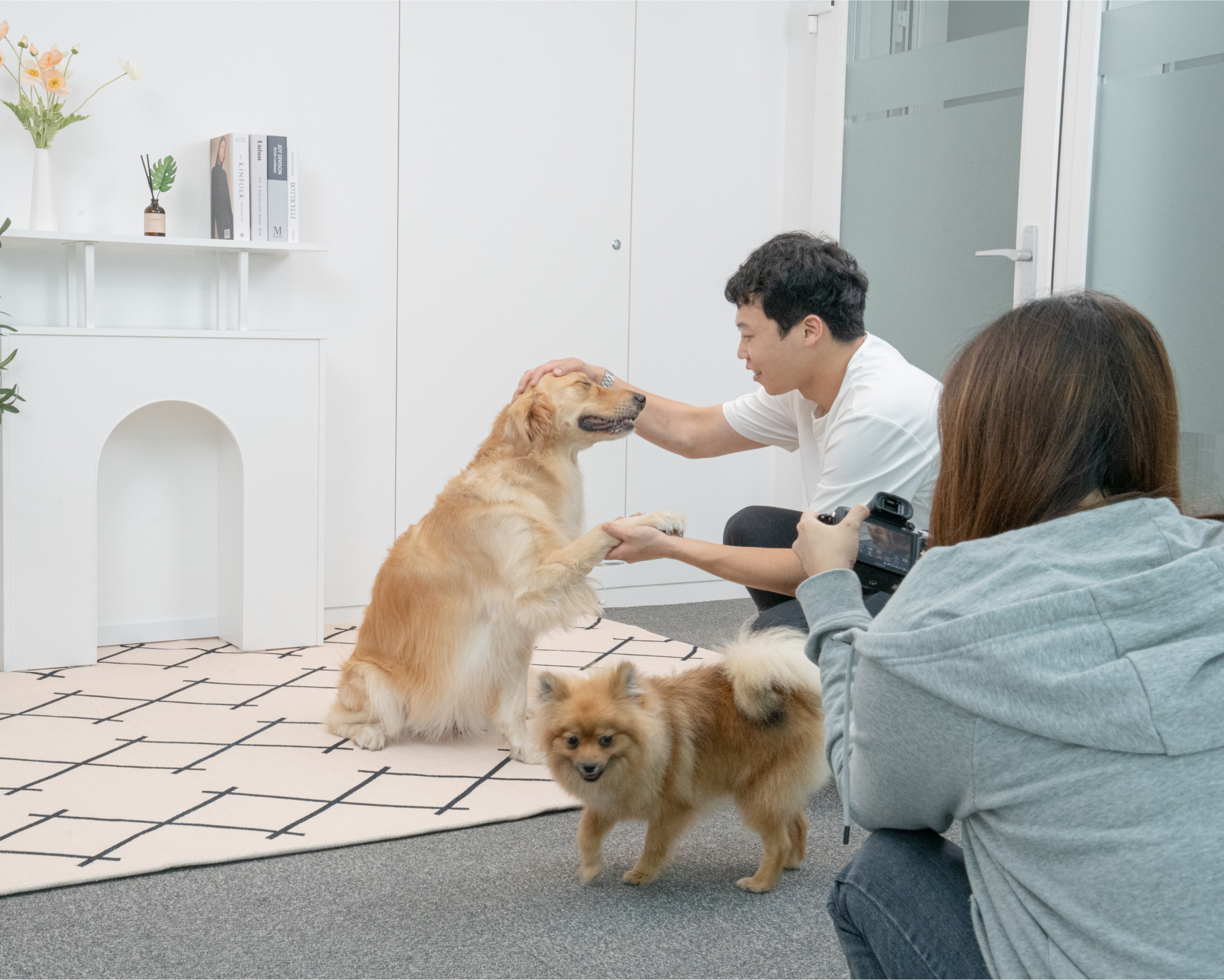 강아지대통령의 약속